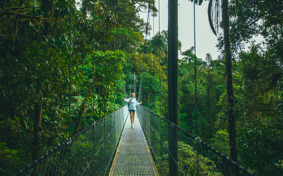 Hanging bridges in the heart of the Costa Rica rainforest, Nayara Gardens: Arenal Volcano National Park, Costa Rica