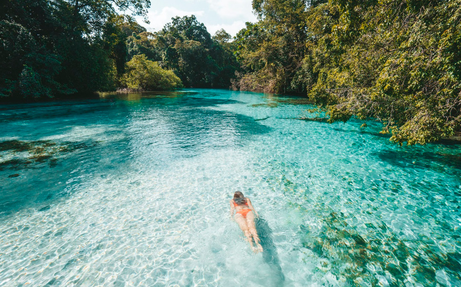 Float in crystal clear waters surrounded by lush mangroves, Nayara Bocas del Toro: Bocas del Toro, Panama