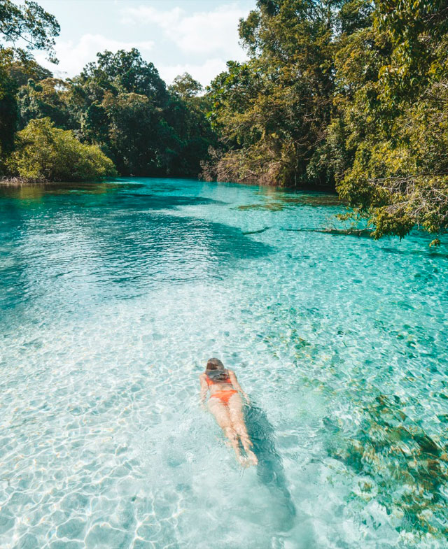 Float in crystal clear waters surrounded by lush mangroves, Nayara Bocas del Toro: Bocas del Toro, Panama