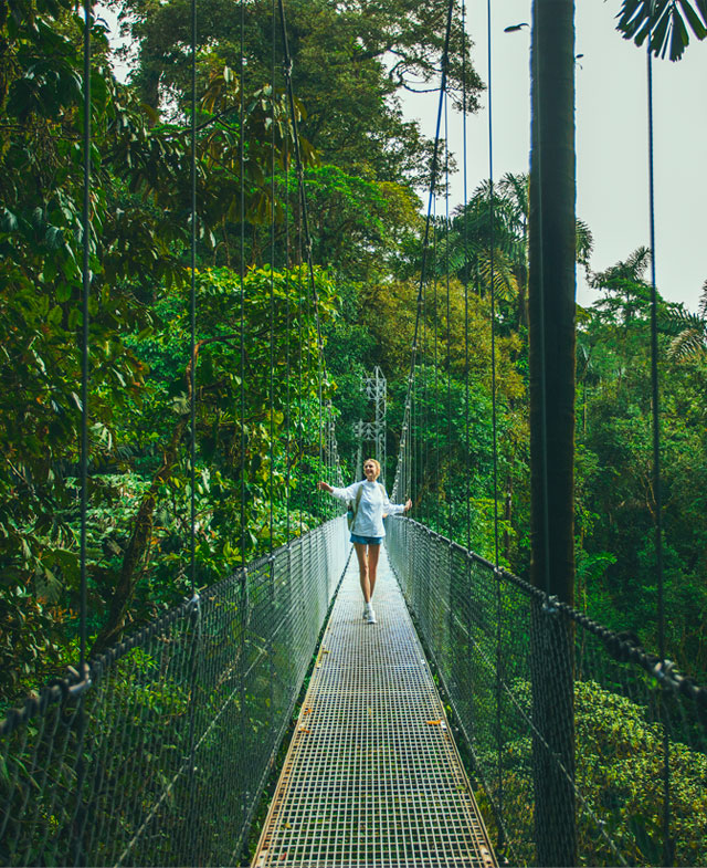 Hanging bridges in the heart of the Costa Rica rainforest, Nayara Gardens: Arenal Volcano National Park, Costa Rica